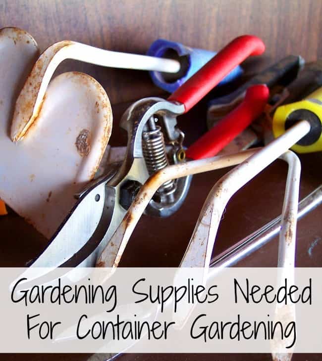 There are many gardening supplies that can be purchased for gardening. Here are 8 things you must have to make the most successful container garden. Includes plant containers, hand tools, and seeds and soil.