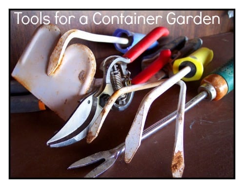 There are many gardening supplies that can be purchased for gardening. Here are 8 things you must have to make any type of container garden.