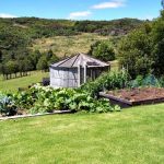 raised garden