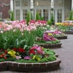 Raised flower bed garden