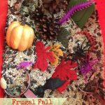 Fall sensory bin