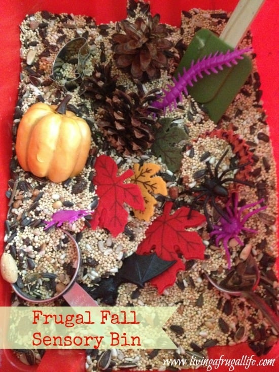 Make a fall sensory bin filled with lots of fall themed items from the dollar store. Cheap and effective way to teach children through their senses! 