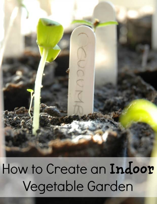 make an indoor vegetable garden with these 4 simple tips