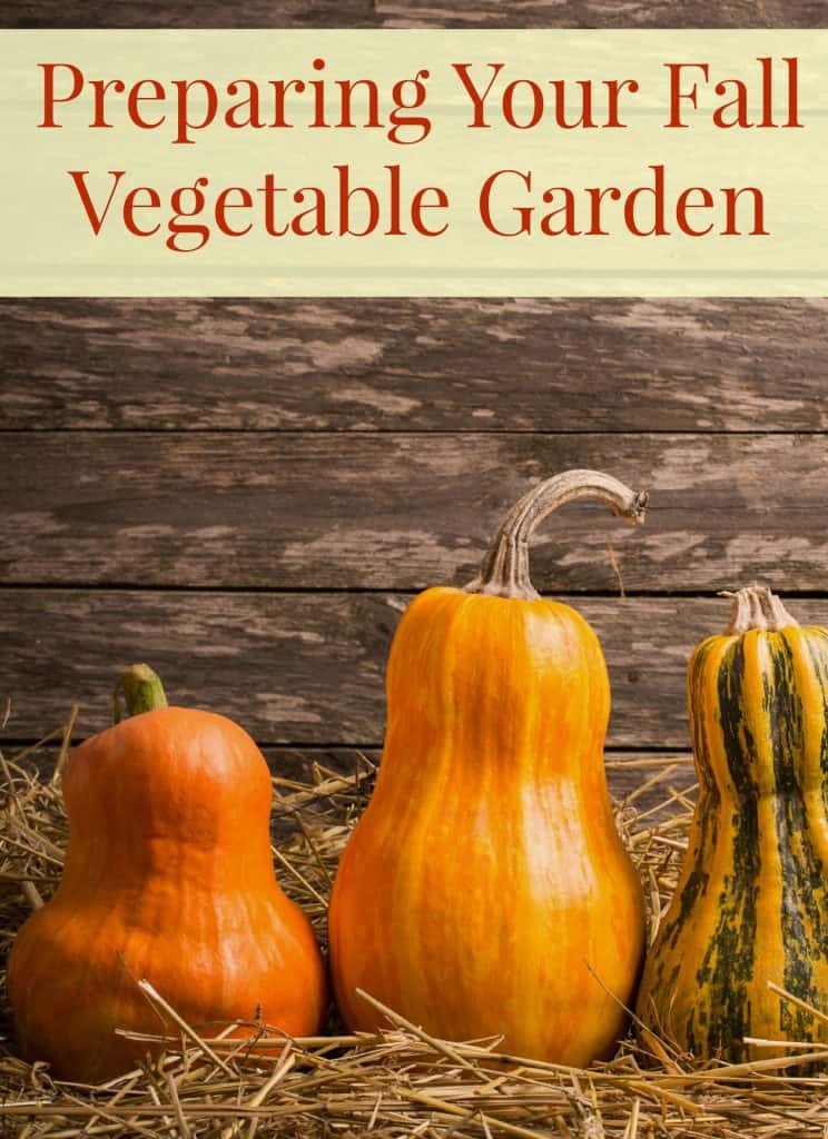 Are you looking for tips to start a fall vegetable garden? These gardening tips will make your fall garden more water conscious and productive!