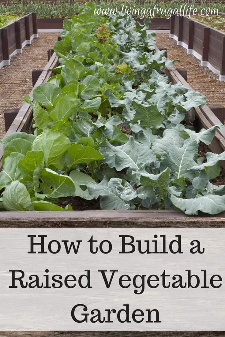 Learn how to make a raised vegetable garden that you can make on any budget or with any space you have available. Includes instructions and tips for success
