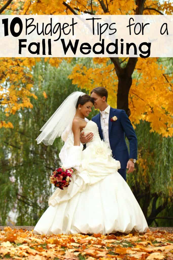 Bride and groom standing in a fall scene with trees and grass for their wedding.