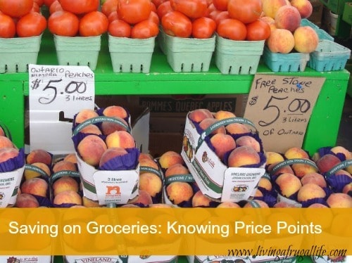 Saving on Groceries by Knowing Your Price Points