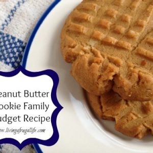 2 Peanut Butter Cookies on a plate with text that says pPeanut Butter Cookie Recipe