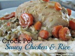 Crockpot Saucy Chicken and Rice Recipe On a Budget