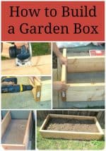Fastest and Easiest way to Build a Garden Box!