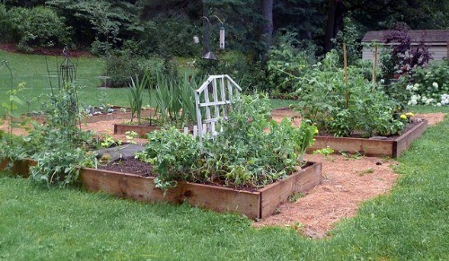 DIY Raised Bed Garden