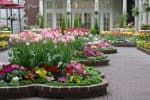 Raised flower bed garden