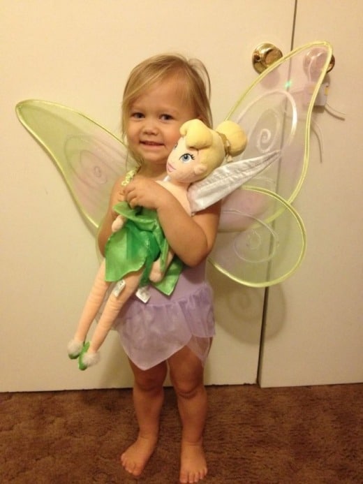 Evolution of Tinkerbell Book Review
