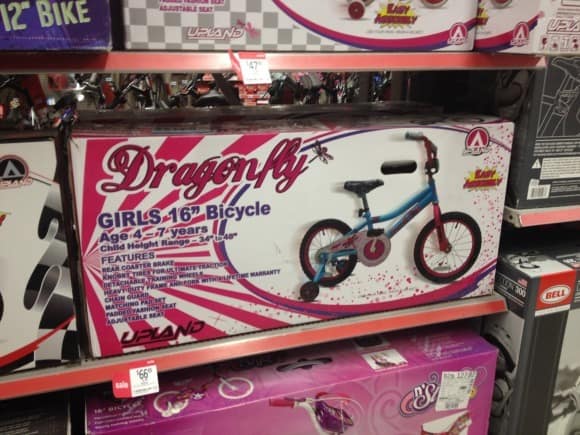 Girls Dragonfly Bike