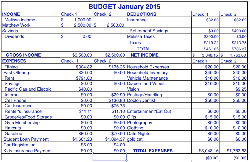 Real family budget