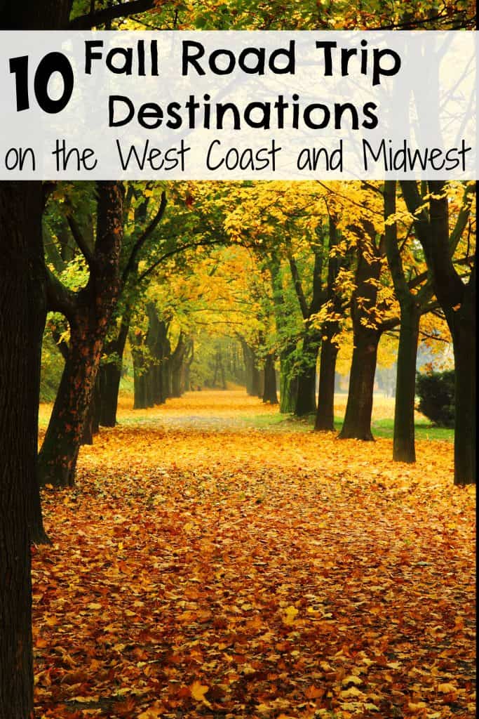 road covered in fall leaves with trees lining the road. There is a text overlay that says 10 fall road trip destinations on the west coast