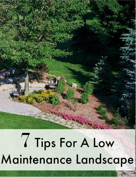 Are you looking for tips to make a low maintenance landscape? These tips will teach you the essentials to make your job easier and your soil richer!