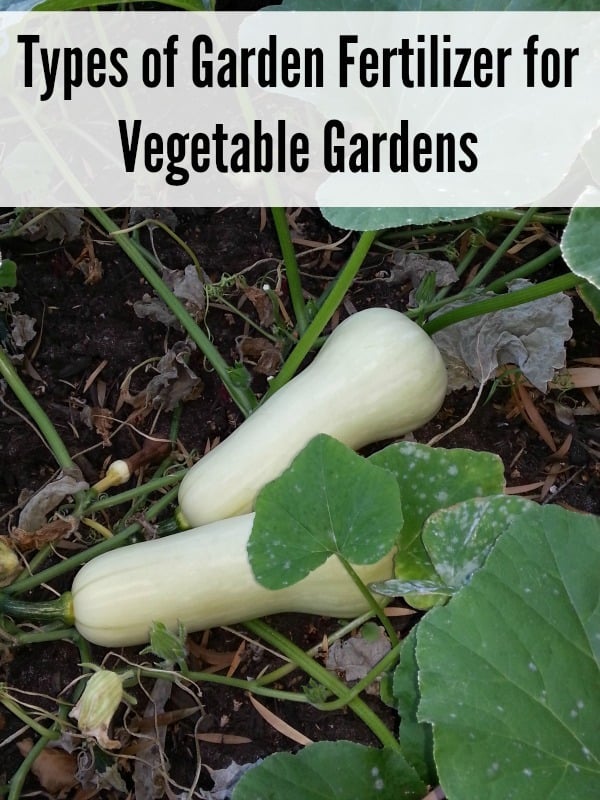 Types of Garden Fertilizer for Vegetable Gardens