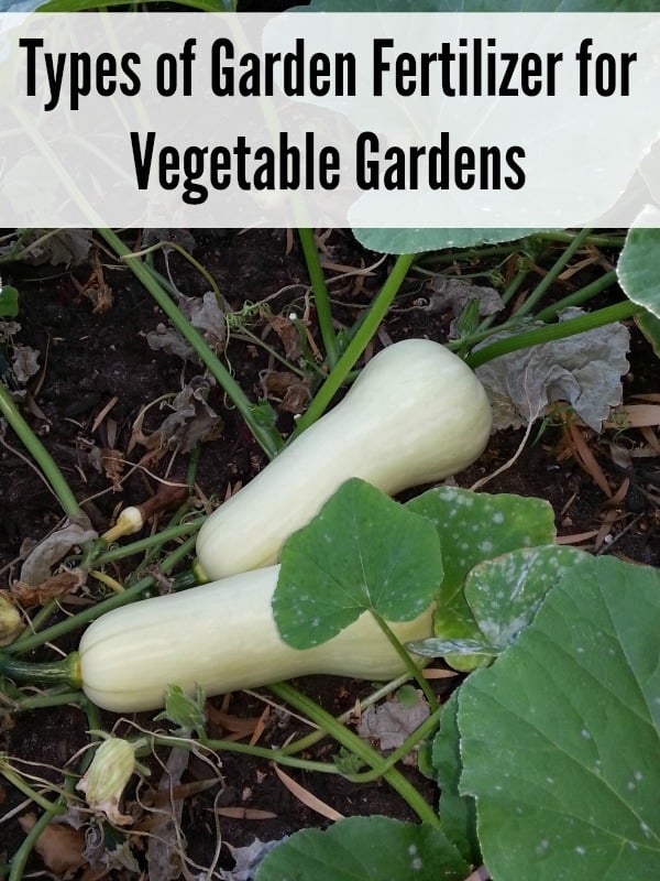 Types Of Garden Fertilizer For Vegetable Gardens