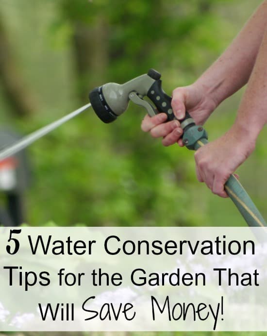 Person holding a hose spraying water on the garden. It has a text overlay that says 5 water conservation tips for the garden that will save money.